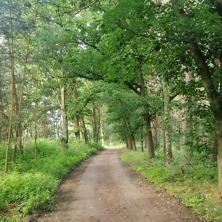 Quatro Ferienhaus Brzezinki (Olawa)