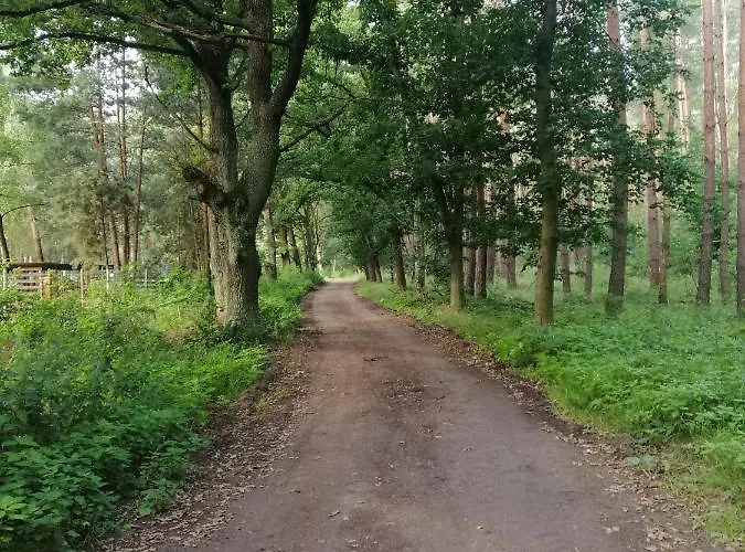 Quatro Prázdninový dům *