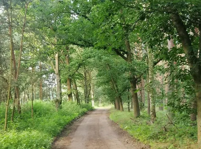 Quatro Prázdninový dům Brzezinki (Olawa)